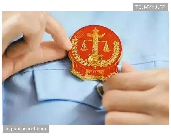 判罚争议的核心判定标准与裁判裁量权解析