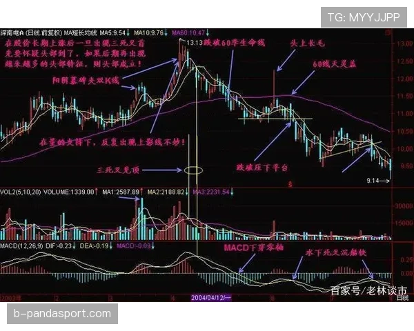 G组黑马机会与风险分析