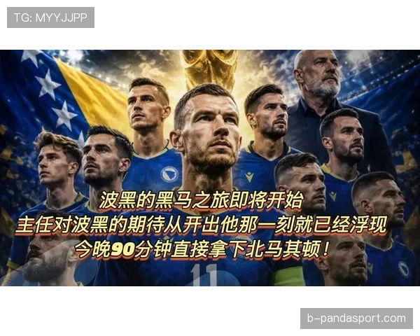 波黑队为何被看好成为黑马 波黑队为何被看好成为黑马