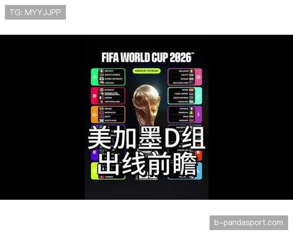 世界杯美国队D组面对土耳其队胜算分析